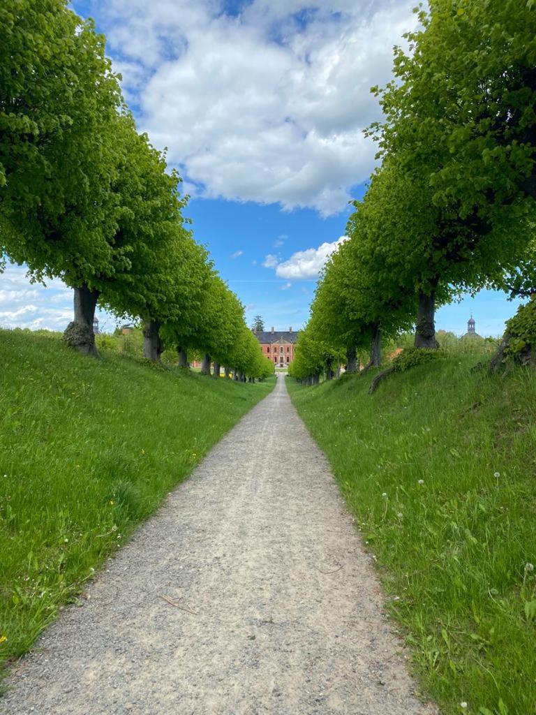 Ferienwohnung Uta Grundshagen Extérieur photo